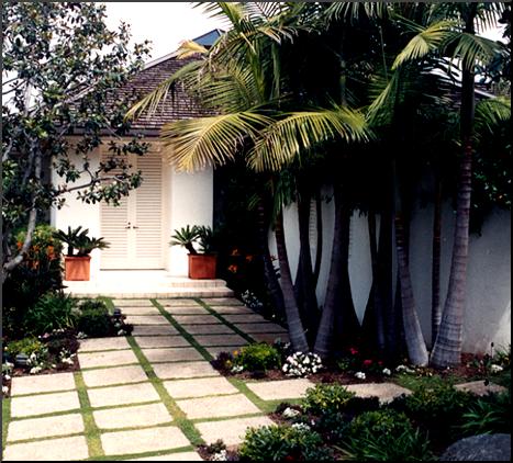 King Palm