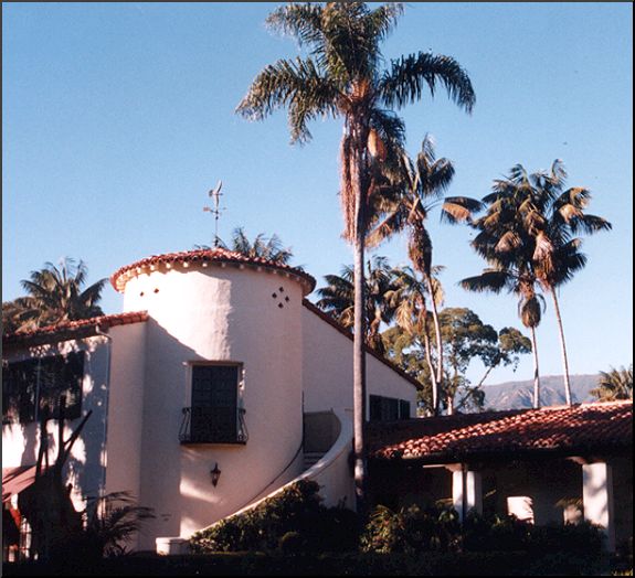 Queen Palm