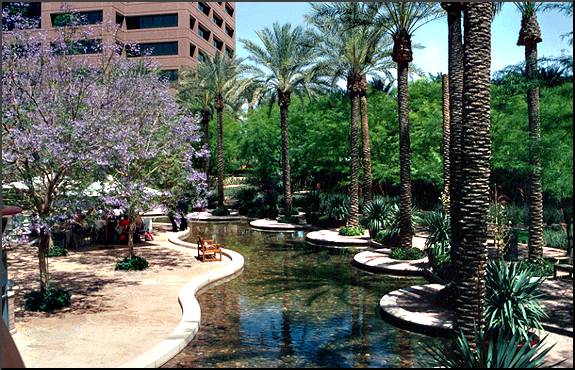 True Date Palm